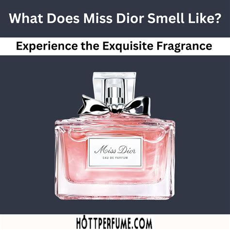 parfum d été dior|what does miss Dior smell like.